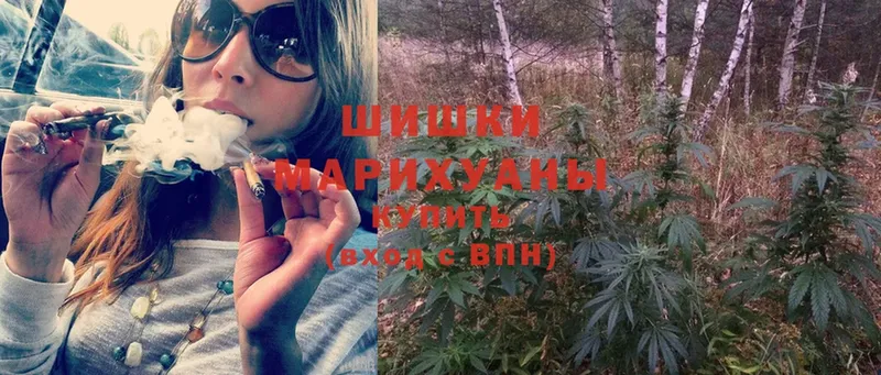 Бошки марихуана SATIVA & INDICA  МЕГА ссылки  Короча 